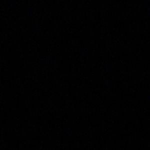 Meet your Posher, Leo